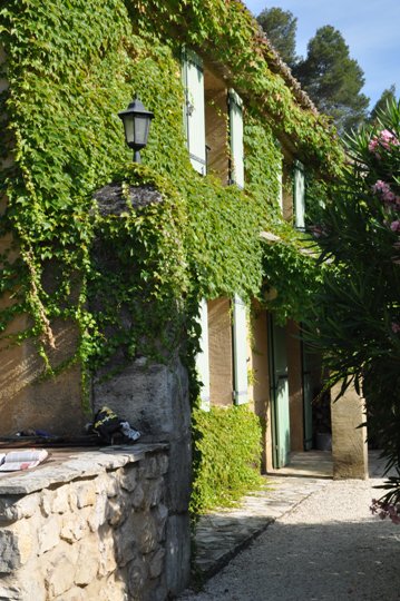 beautiful Mas for holiday rental, La Bergerie at Moulin de la Roque, covered with wine