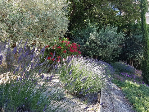 Mas des  Oliviers.	Magical Provence, entry from the north (Avignon) or from the south (Saint-Remy-de-Provence) both just 15 to 20 minutes away from your door.