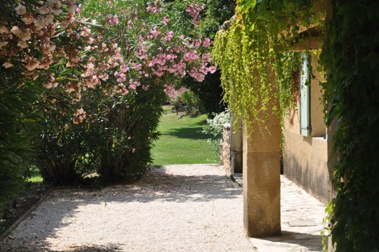 Private walk, gardens, oleander and wine to the villa La Bergerie at Moulin de la Roque, Noves - terrace