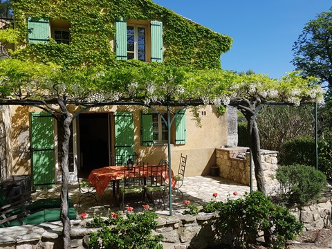 Glycine in flower at spring time on thev terrace of the villa La Bergerie at Moulin de la Roque, Noves