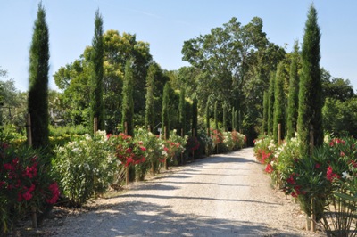 Moulin de la Roque, Noves, Provence: to Saint-Remy-de-Provence